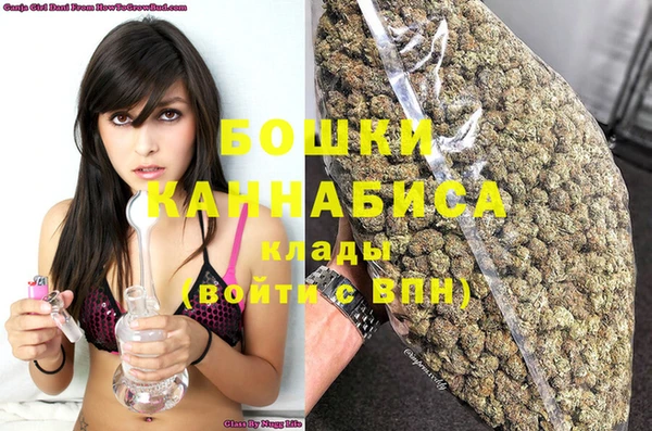тгк Бронницы