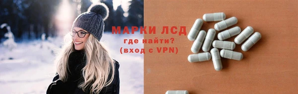 спиды Богданович