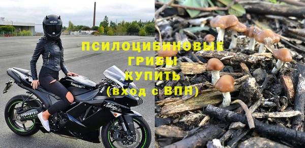 тгк Бронницы