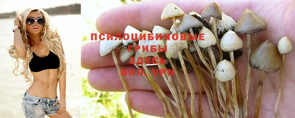 трава Богородицк