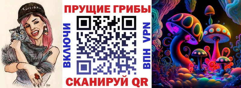 закладки  Красновишерск  Псилоцибиновые грибы Magic Shrooms 